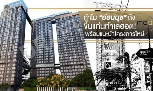 ทำไม “อ่อนนุช” ถึงขึ้นแท่นทำเลฮอต! พร้อมแนะนำโครงการใหม่ Modiz Sukhumvit 50