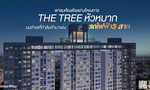 พาชมห้องตัวอย่างโครงการ The Tree หัวหมาก บนทำเลที่กำลังเข้ามาของรถไฟฟ้า 3 สาย