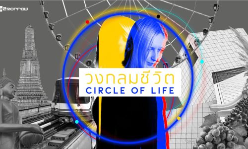 วงกลมชีวิต… Circle of Life