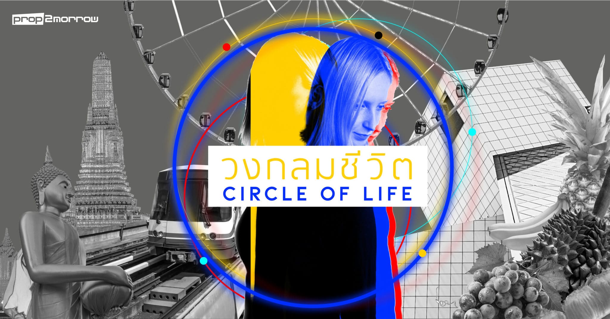 You are currently viewing วงกลมชีวิต… Circle of Life