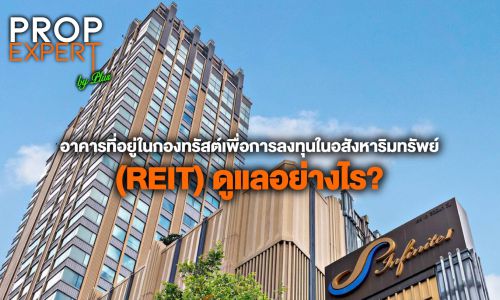 อาคารที่อยู่ในกองทรัสต์เพื่อการลงทุนในอสังหาริมทรัพย์ (REIT) ดูแลอย่างไร?