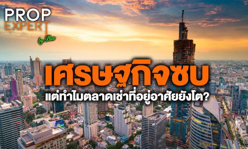 เศรษฐกิจซบแต่ทำไมตลาดเช่าที่อยู่อาศัยยังโต?