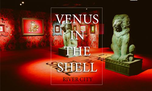 VENUS IN THE SHELL วีนัส เทพีแห่งความรัก ความสวยงาม ที่ถูกสร้างขึ้น