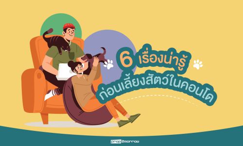 6 เรื่องควรรู้ก่อนจะตัดสินใจเลี้ยงสัตว์ในคอนโดฯ