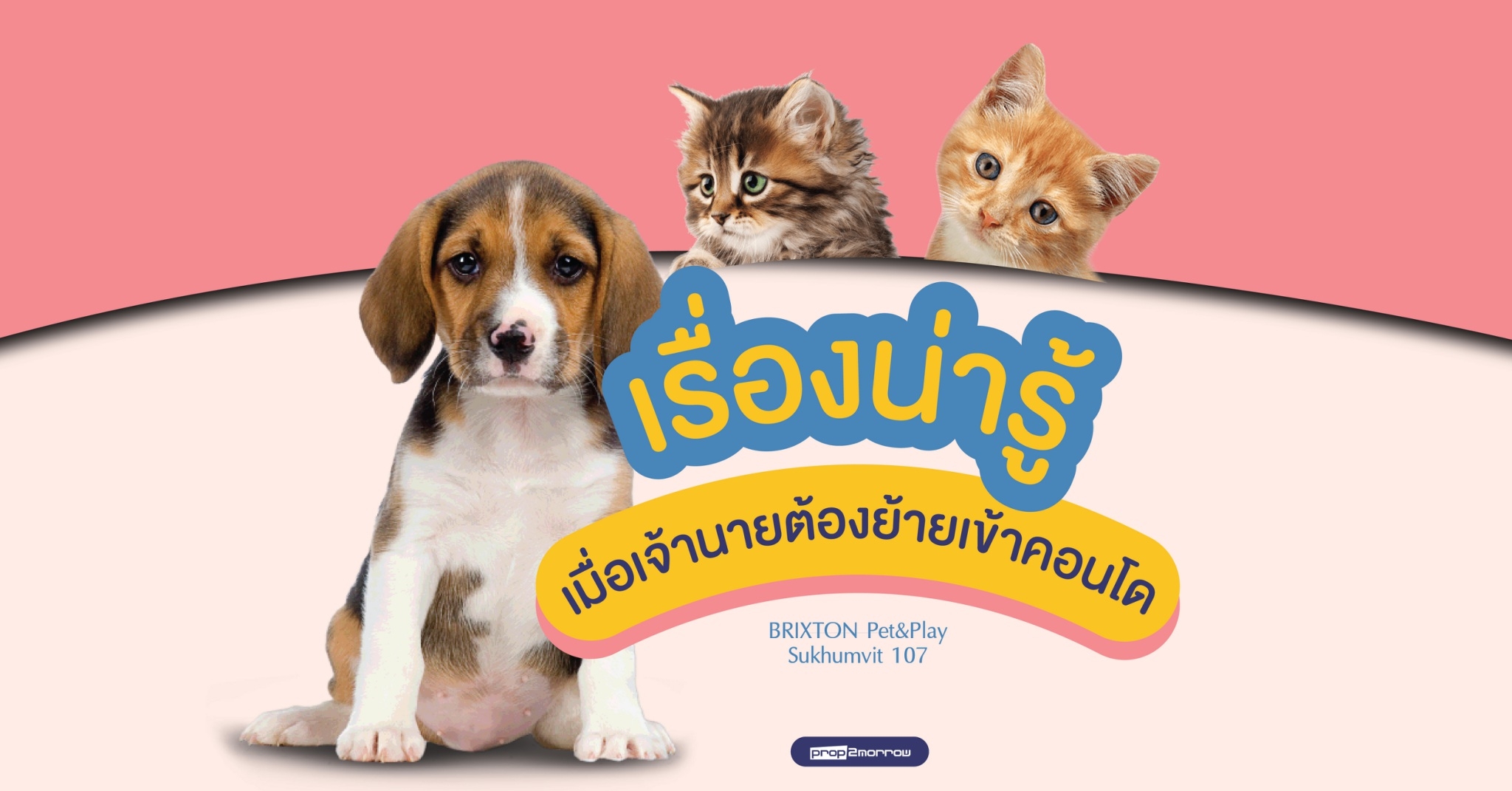 You are currently viewing เมื่อเจ้านายต้องย้ายเข้าคอนโดฯ  ทาสอย่างเราต้องเตรียมตัวอย่างไร