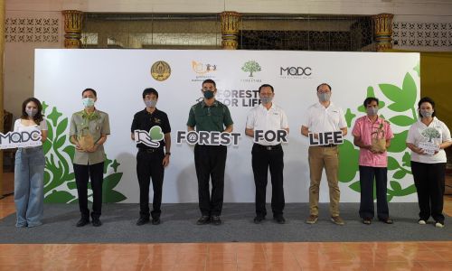 “The Forestias” ร่วมช่วยเหลือผู้ได้รับผลกระทบจากโควิด-19 สร้างรายได้ให้ 1,000 ครอบครัว มุ่งพัฒนาพื้นที่สีเขียว