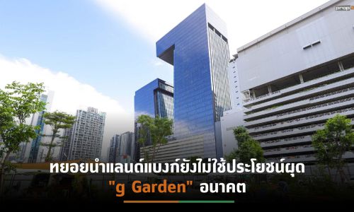 CPN จับมือ GLAND นำที่ดินเปล่าผุด “g Garden” ไอเดียสวนผักใจกลางเมือง