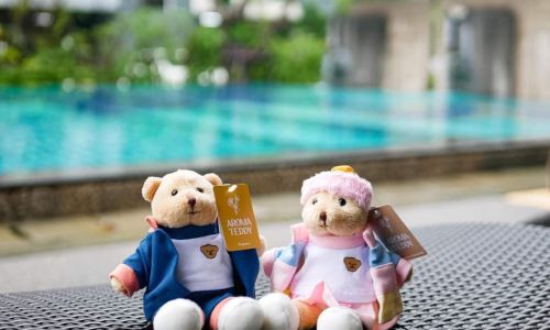 “Teddy House” เปิดตัว “Aroma Teddy”ตุ๊กตาหมีปรับอากาศภายในบ้าน