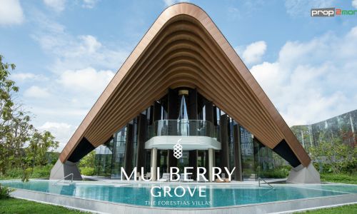 MULBERRY GROVE THE FORESTIAS VILLAS โครงการบ้านเดี่ยว ระดับ Ultra Luxury