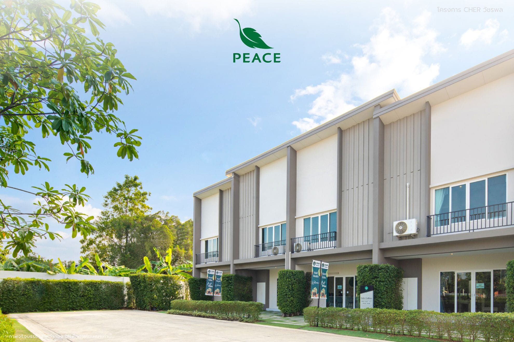 You are currently viewing “PEACE” จุดพลุฉลองเดือนเกิดส่งโปรโมชัน “Happy PEACE’S Day”จัดหนัก กับ 5 โครงการ ตลอดเดือนพ.ค.66