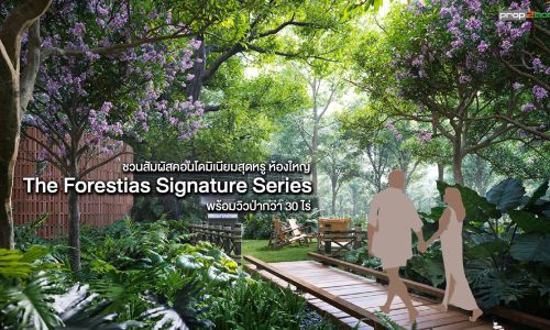 The Forestias Signature Series คอนโดฯอารมณ์บ้าน พื้นที่ใหญ่ ใจกลาง The Forestias