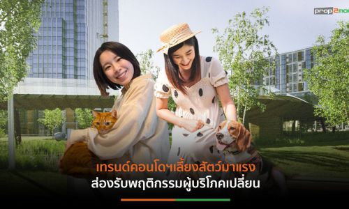 6X6 แนวทางการพัฒนาโครงการและบริการในคอนโดฯ เพื่อสัตว์เลี้ยง