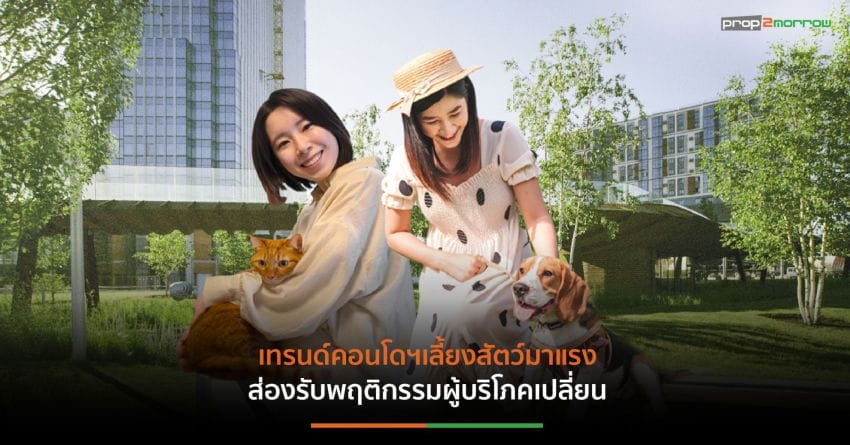 6X6 แนวทางการพัฒนาโครงการและบริการในคอนโดฯ เพื่อสัตว์เลี้ยง