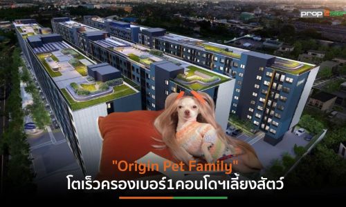 “ออริจิ้นฯ”เจาะเทรนด์ Pet Humanization 3ปีเปิดคอนโดฯเลี้ยงสัตว์ได้ 16 โครงการ 2.6หมื่นล้าน