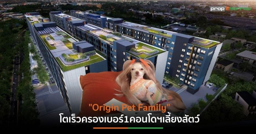 “ออริจิ้นฯ”เจาะเทรนด์ Pet Humanization 3ปีเปิดคอนโดฯเลี้ยงสัตว์ได้ 16 โครงการ 2.6หมื่นล้าน