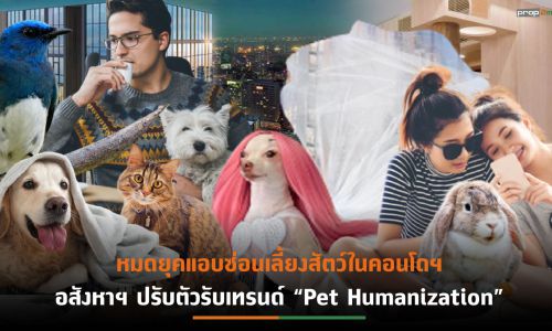 จับตาศึกคอนโดฯเอาใจกลุ่ม Pet Friendly ปี’67 แข่งดุ ธุรกิจเกี่ยวเนื่องรับอานิสงส์โตกระฉูด