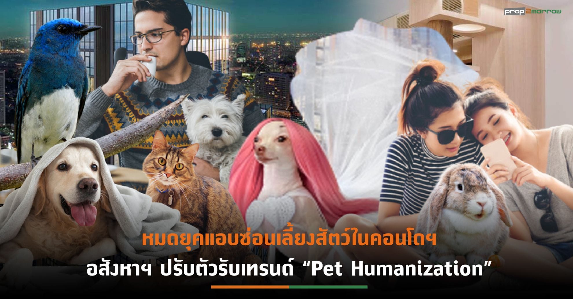 You are currently viewing จับตาศึกคอนโดฯเอาใจกลุ่ม Pet Friendly ปี’67 แข่งดุ ธุรกิจเกี่ยวเนื่องรับอานิสงส์โตกระฉูด