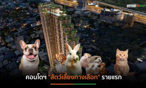 เมเจอร์ฯเปืดคอนโดฯ Exotic Pet แบรนด์แรกของไทยนำร่อง”เมทริส ดิสทริค ลาดพร้าว”