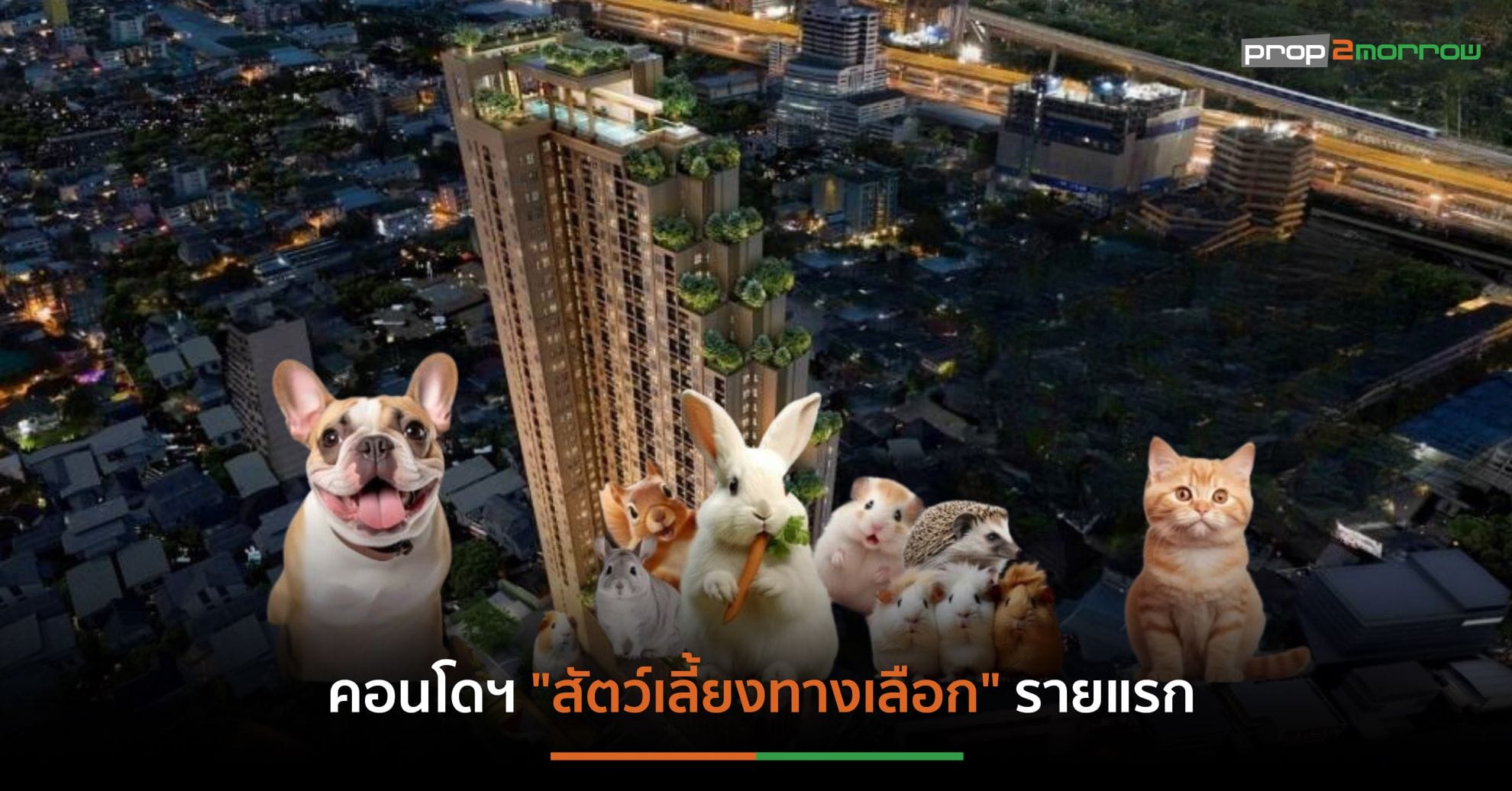 You are currently viewing เมเจอร์ฯเปืดคอนโดฯ Exotic Pet แบรนด์แรกของไทยนำร่อง”เมทริส ดิสทริค ลาดพร้าว”